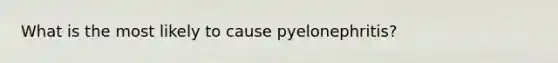 What is the most likely to cause pyelonephritis?