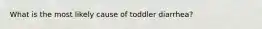 What is the most likely cause of toddler diarrhea?