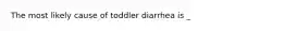 The most likely cause of toddler diarrhea is _