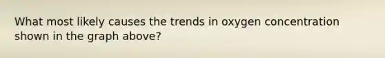 What most likely causes the trends in oxygen concentration shown in the graph above?