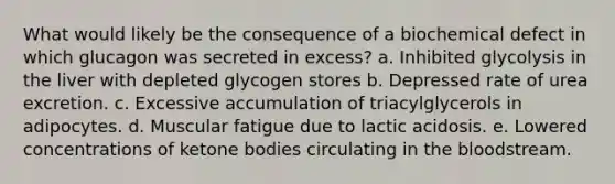 What would likely be the consequence of a biochemical defect in which glucagon was secreted in excess? a. Inhibited glycolysis in the liver with depleted glycogen stores b. Depressed rate of urea excretion. c. Excessive accumulation of triacylglycerols in adipocytes. d. Muscular fatigue due to lactic acidosis. e. Lowered concentrations of ketone bodies circulating in the bloodstream.