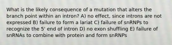 What is the likely consequence of a mutation that alters the branch point within an intron? A) no effect, since introns are not expressed B) failure to form a lariat C) failure of snRNPs to recognize the 5' end of intron D) no exon shuffling E) failure of snRNAs to combine with protein and form snRNPs