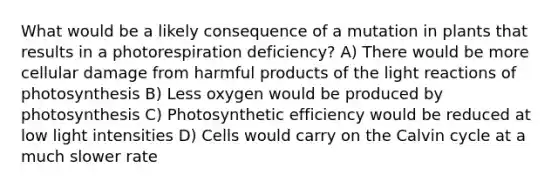 What would be a likely consequence of a mutation in plants that results in a photorespiration deficiency? A) There would be more cellular damage from harmful products of the light reactions of photosynthesis B) Less oxygen would be produced by photosynthesis C) Photosynthetic efficiency would be reduced at low light intensities D) Cells would carry on the Calvin cycle at a much slower rate