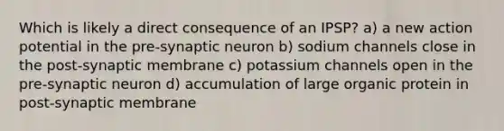 Which is likely a direct consequence of an IPSP? a) a new action potential in the pre-synaptic neuron b) sodium channels close in the post-synaptic membrane c) potassium channels open in the pre-synaptic neuron d) accumulation of large organic protein in post-synaptic membrane