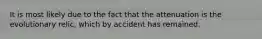 It is most likely due to the fact that the attenuation is the evolutionary relic, which by accident has remained.