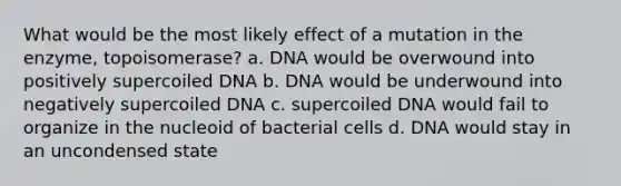 What would be the most likely effect of a mutation in the enzyme, topoisomerase? a. DNA would be overwound into positively supercoiled DNA b. DNA would be underwound into negatively supercoiled DNA c. supercoiled DNA would fail to organize in the nucleoid of bacterial cells d. DNA would stay in an uncondensed state