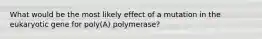 What would be the most likely effect of a mutation in the eukaryotic gene for poly(A) polymerase?