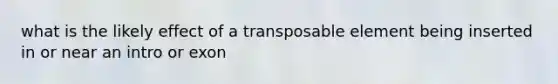 what is the likely effect of a transposable element being inserted in or near an intro or exon