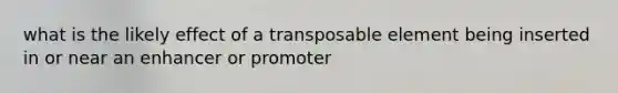 what is the likely effect of a transposable element being inserted in or near an enhancer or promoter