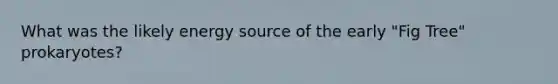 What was the likely energy source of the early "Fig Tree" prokaryotes?