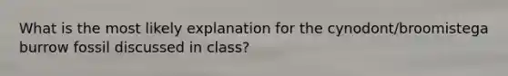 What is the most likely explanation for the cynodont/broomistega burrow fossil discussed in class?