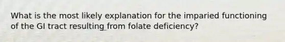 What is the most likely explanation for the imparied functioning of the GI tract resulting from folate deficiency?