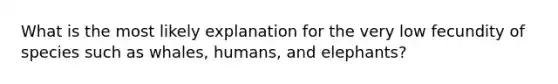 What is the most likely explanation for the very low fecundity of species such as whales, humans, and elephants?