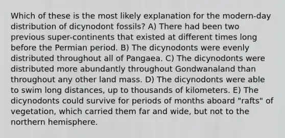 Which of these is the most likely explanation for the modern-day distribution of dicynodont fossils? A) There had been two previous super-continents that existed at different times long before the Permian period. B) The dicynodonts were evenly distributed throughout all of Pangaea. C) The dicynodonts were distributed more abundantly throughout Gondwanaland than throughout any other land mass. D) The dicynodonts were able to swim long distances, up to thousands of kilometers. E) The dicynodonts could survive for periods of months aboard "rafts" of vegetation, which carried them far and wide, but not to the northern hemisphere.