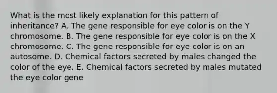 What is the most likely explanation for this pattern of inheritance? A. The gene responsible for eye color is on the Y chromosome. B. The gene responsible for eye color is on the X chromosome. C. The gene responsible for eye color is on an autosome. D. Chemical factors secreted by males changed the color of the eye. E. Chemical factors secreted by males mutated the eye color gene