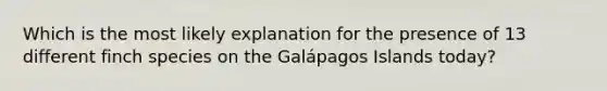 Which is the most likely explanation for the presence of 13 different finch species on the Galápagos Islands today?