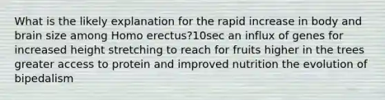 What is the likely explanation for the rapid increase in body and brain size among Homo erectus?10sec an influx of genes for increased height stretching to reach for fruits higher in the trees greater access to protein and improved nutrition the evolution of bipedalism