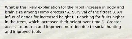 What is the likely explanation for the rapid increase in body and brain size among Homo erectus? A. Survival of the fittest B. An influx of genes for increased height C. Reaching for fruits higher in the trees, which increased their height over time D. Greater access to protein and improved nutrition due to social hunting and improved tools