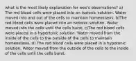 what is the most likely explanation for wes's observations? a) The red blood cells were placed into an isotonic solution. Water moved into and out of the cells to maintain homeostasis. b)The red blood cells were placed into an isotonic solution. Water moved into the cells until the cells burst. c)The red blood cells were placed in a hypertonic solution. Water moved from the inside of the cells to the outside of the cells to maintain homeostasis. d) The red blood cells were placed in a hypotonic solution. Water moved from the outside of the cells to the inside of the cells until the cells burst.