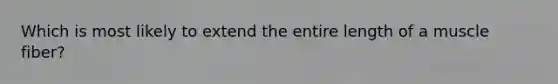 Which is most likely to extend the entire length of a muscle fiber?