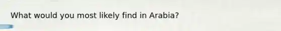 What would you most likely find in Arabia?