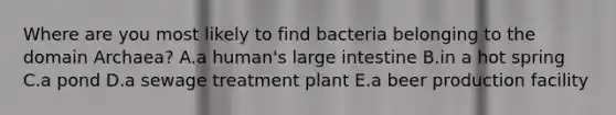 Where are you most likely to find bacteria belonging to the domain Archaea? A.a human's large intestine B.in a hot spring C.a pond D.a sewage treatment plant E.a beer production facility