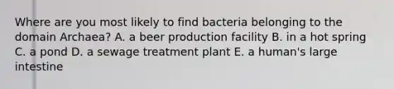 Where are you most likely to find bacteria belonging to the domain Archaea? A. a beer production facility B. in a hot spring C. a pond D. a sewage treatment plant E. a human's large intestine