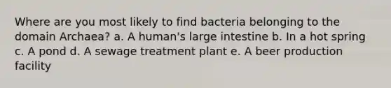 Where are you most likely to find bacteria belonging to the domain Archaea? a. A human's large intestine b. In a hot spring c. A pond d. A sewage treatment plant e. A beer production facility