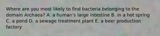 Where are you most likely to find bacteria belonging to the <a href='https://www.questionai.com/knowledge/kfXw10Rlnk-domain-archaea' class='anchor-knowledge'>domain archaea</a>? A. a human's <a href='https://www.questionai.com/knowledge/kGQjby07OK-large-intestine' class='anchor-knowledge'>large intestine</a> B. in a hot spring C. a pond D. a sewage treatment plant E. a beer production factory