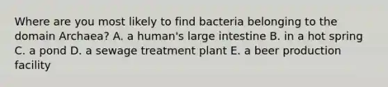 Where are you most likely to find bacteria belonging to the domain Archaea? A. a human's large intestine B. in a hot spring C. a pond D. a sewage treatment plant E. a beer production facility