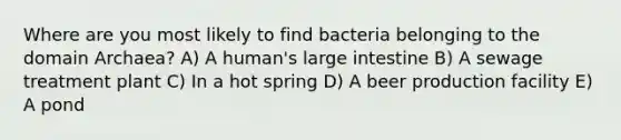 Where are you most likely to find bacteria belonging to the domain Archaea? A) A human's large intestine B) A sewage treatment plant C) In a hot spring D) A beer production facility E) A pond