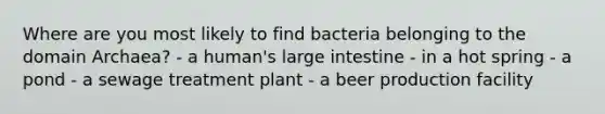 Where are you most likely to find bacteria belonging to the domain Archaea? - a human's large intestine - in a hot spring - a pond - a sewage treatment plant - a beer production facility