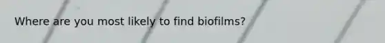 Where are you most likely to find biofilms?