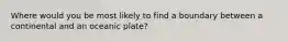 Where would you be most likely to find a boundary between a continental and an oceanic plate?