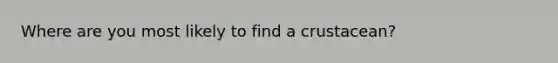 Where are you most likely to find a crustacean?