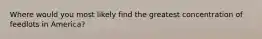 Where would you most likely find the greatest concentration of feedlots in America?
