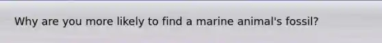 Why are you more likely to find a marine animal's fossil?