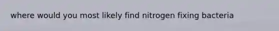 where would you most likely find nitrogen fixing bacteria