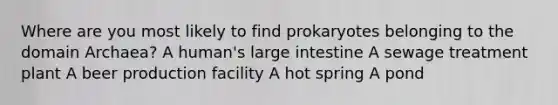 Where are you most likely to find prokaryotes belonging to the domain Archaea? A human's large intestine A sewage treatment plant A beer production facility A hot spring A pond