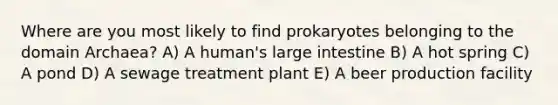 Where are you most likely to find prokaryotes belonging to the domain Archaea? A) A human's large intestine B) A hot spring C) A pond D) A sewage treatment plant E) A beer production facility