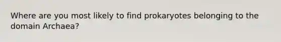 Where are you most likely to find prokaryotes belonging to the domain Archaea?