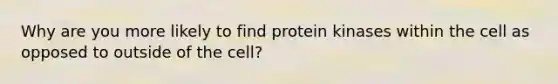 Why are you more likely to find protein kinases within the cell as opposed to outside of the cell?