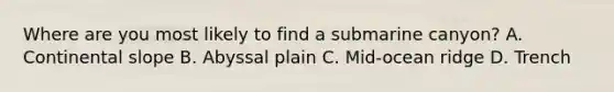 Where are you most likely to find a submarine canyon? A. Continental slope B. Abyssal plain C. Mid-ocean ridge D. Trench