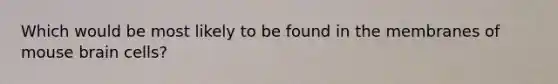 Which would be most likely to be found in the membranes of mouse brain cells?