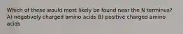 Which of these would most likely be found near the N terminus? A) negatively charged amino acids B) positive charged amino acids