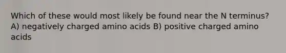 Which of these would most likely be found near the N terminus? A) negatively charged amino acids B) positive charged amino acids