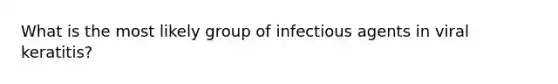 What is the most likely group of infectious agents in viral keratitis?