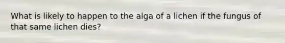 What is likely to happen to the alga of a lichen if the fungus of that same lichen dies?