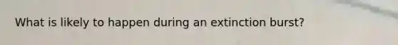 What is likely to happen during an extinction burst?