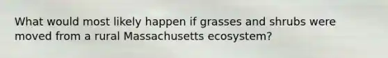 What would most likely happen if grasses and shrubs were moved from a rural Massachusetts ecosystem?